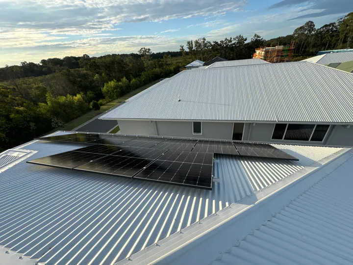 Loongi Solar Panel