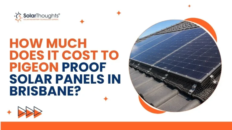 How-Much-Does-It-Cost-to-Pigeon-Proof-Solar-Panels-in-Brisbane